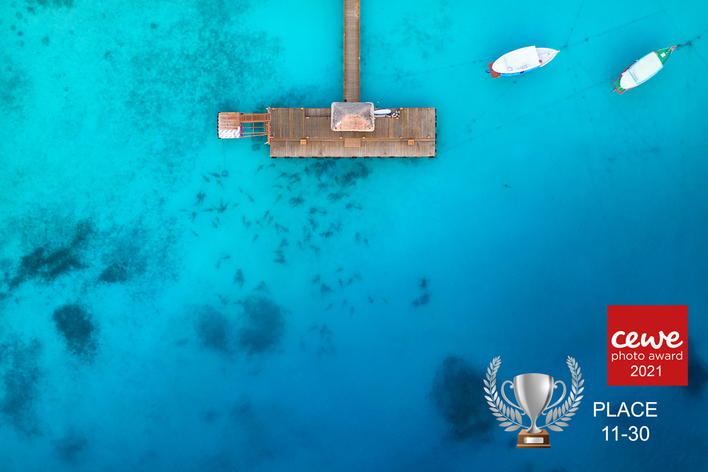 place 11-30 cewe photo award 2021 beauty of our world place 11-30 in the cewe photo award 2021 competition beauty of our world