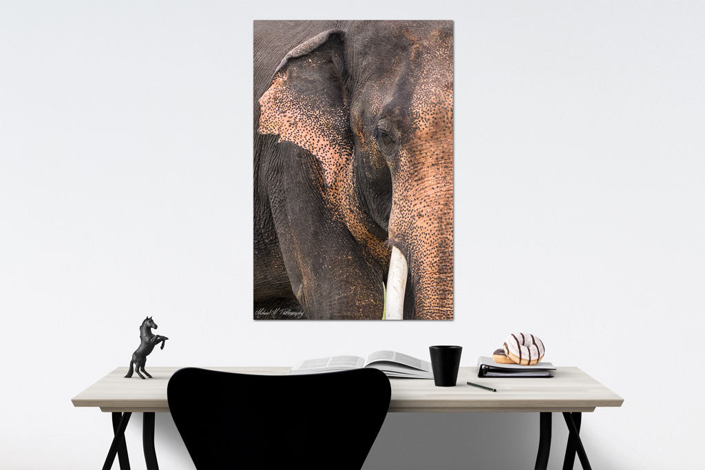 High quality aluminium Print to buy high quality aluminium print to buy