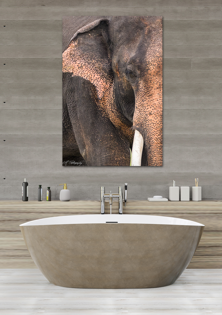 Print Canva to buy - Sri Lanka with elephant print canva buy sri lanka elephant