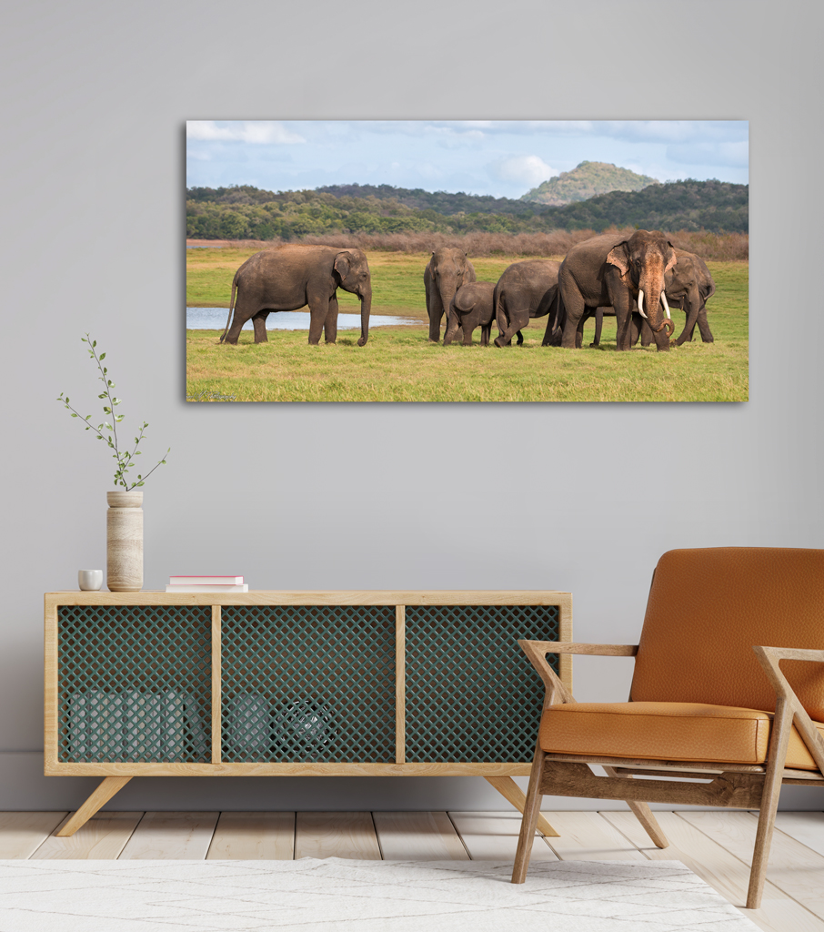 Print Canva to buy - Sri Lanka with elephants print canva buy sri lanka elephants