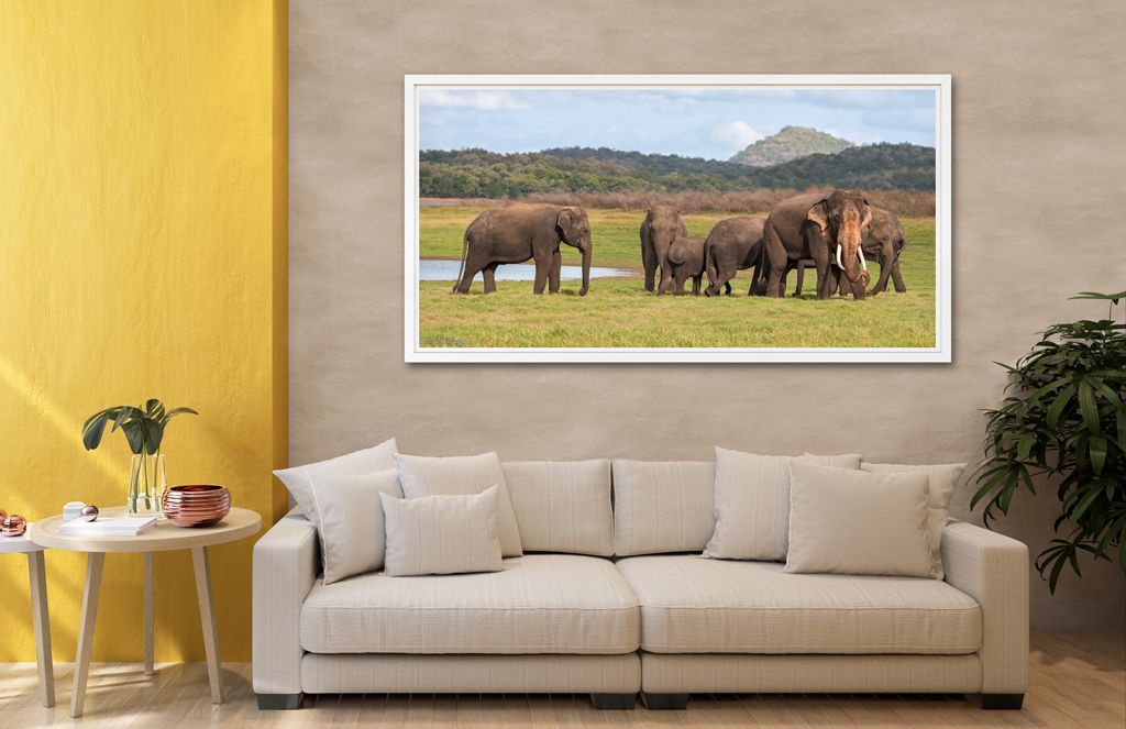 Print Poster to buy - Sri Lanka with elephants print poster buy sri lanka elephants