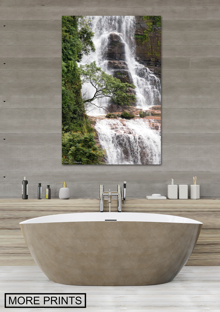 canvas print to buy in the shop