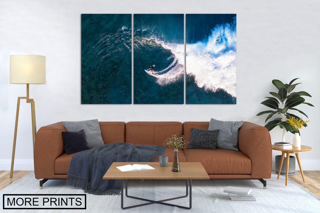 multiple canvas print to buy in the shop